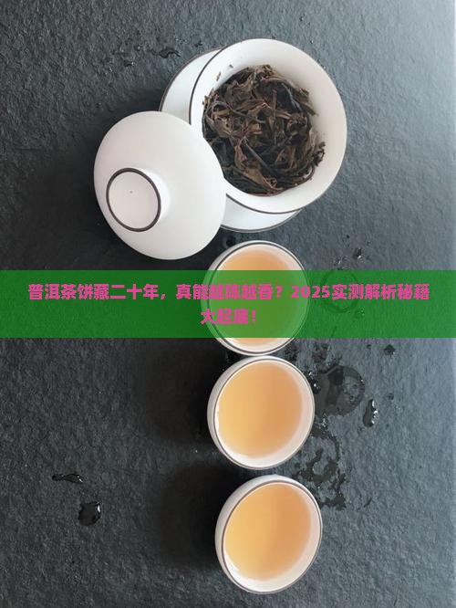 普洱茶饼能购买藏二十年吗