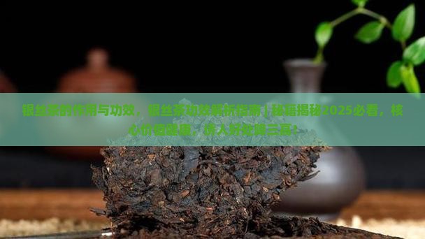 银丝茶的作用与功效