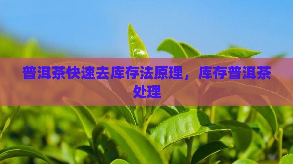 普洱茶快速去库存法原理