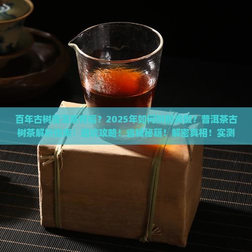 百年古树普洱茶有福