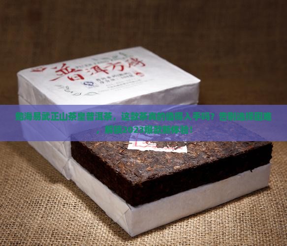 勐海易武正山茶皇普洱茶