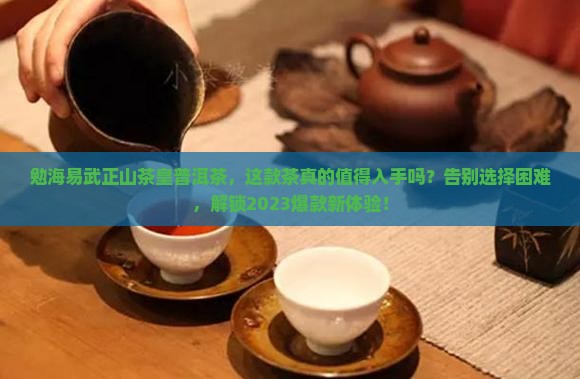勐海易武正山茶皇普洱茶
