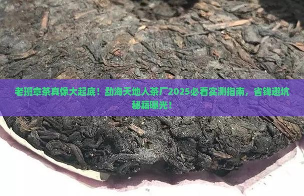 勐海天地人茶厂老班章茶