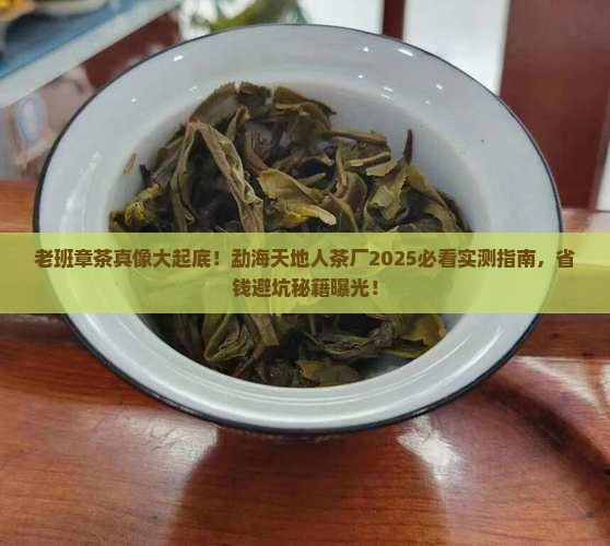 勐海天地人茶厂老班章茶