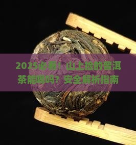 山上捡的普洱茶能喝吗
