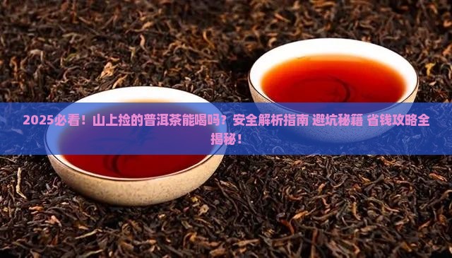 山上捡的普洱茶能喝吗