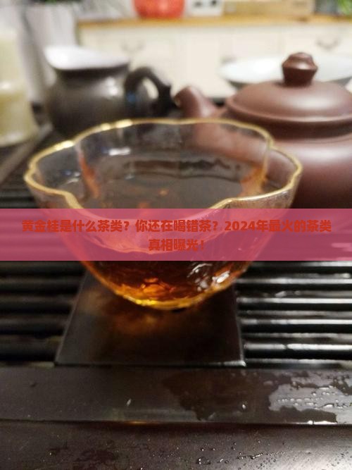 黄金桂是什么茶类
