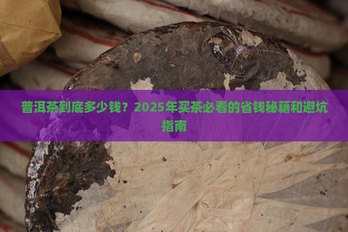 普洱茶普通价钱多少