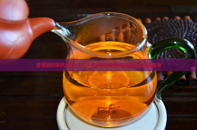 普洱茶普通价钱多少