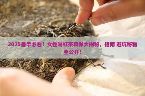 女性备孕可以喝红茶吗