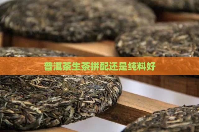 普洱茶生茶拼配还是纯料好