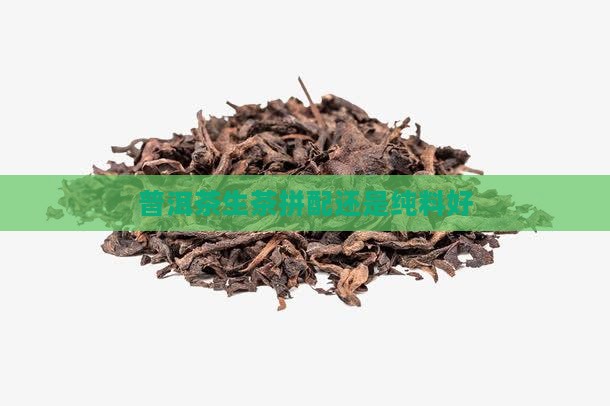 普洱茶生茶拼配还是纯料好