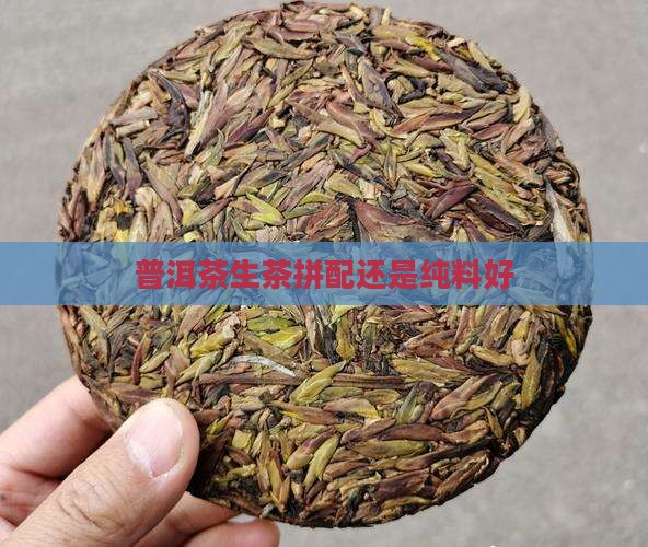 普洱茶生茶拼配还是纯料好