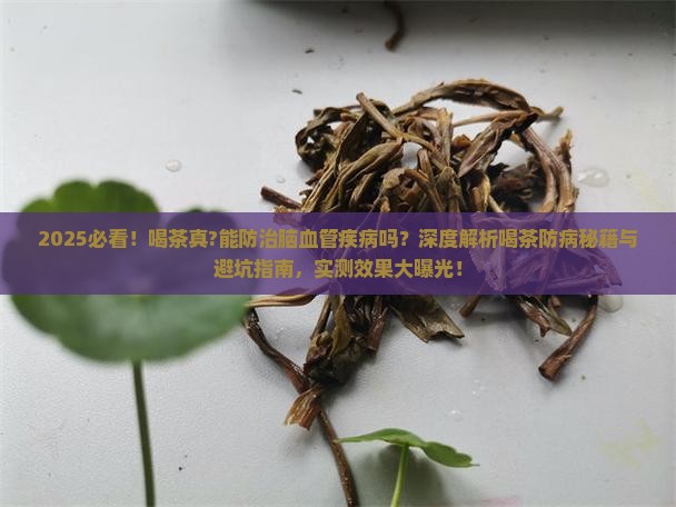 喝茶能防治脑血管疾病吗