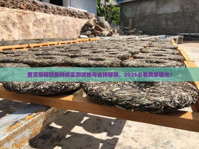 普洱茶砖熟茶特级