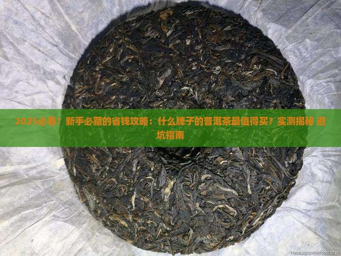 什么牌子的普洱茶