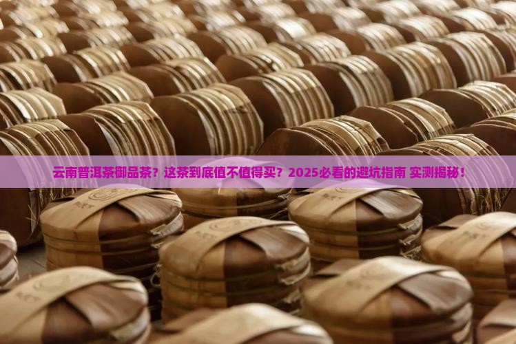 云南普洱茶御品茶