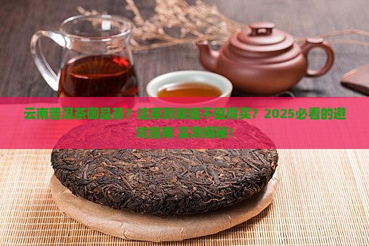 云南普洱茶御品茶
