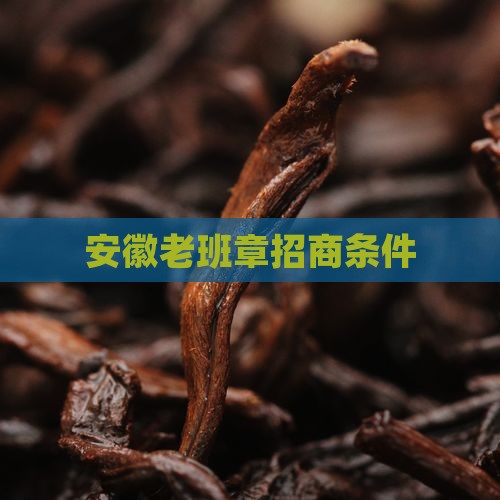 安徽老班章招商条件