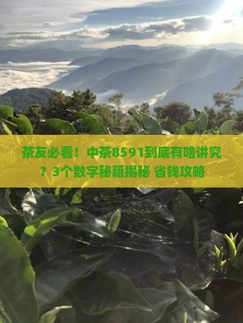 中茶8591什么意思