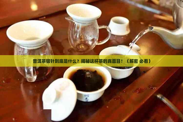 普洱茶银针是啥品种