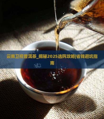 云南卫视普洱茶