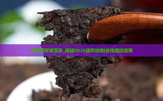 云南卫视普洱茶