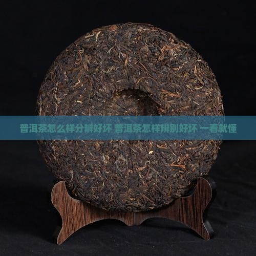 普洱茶怎么样分辨好坏