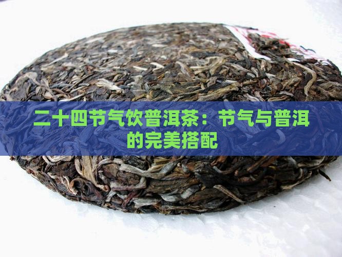二十四节气饮生普洱茶可以吗