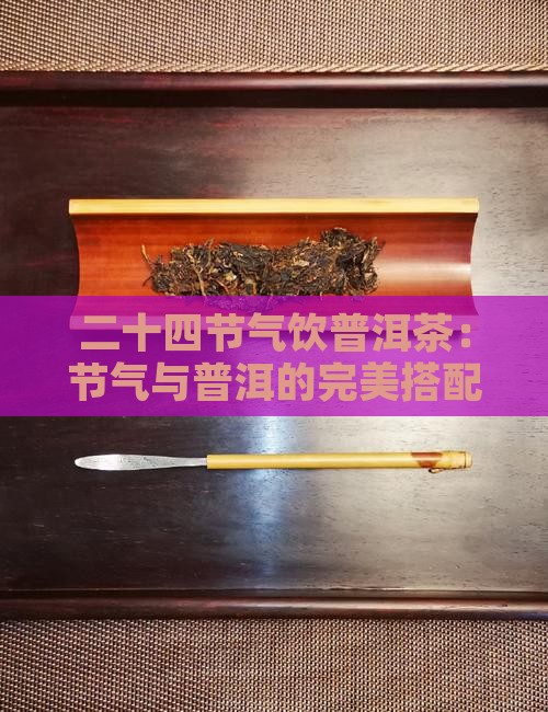 二十四节气饮生普洱茶可以吗