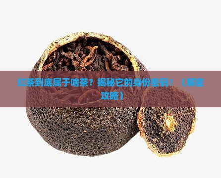 红茶属于什么茶