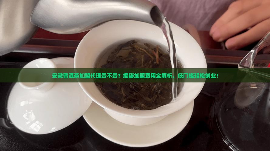 安徽普洱茶加盟代理贵不贵