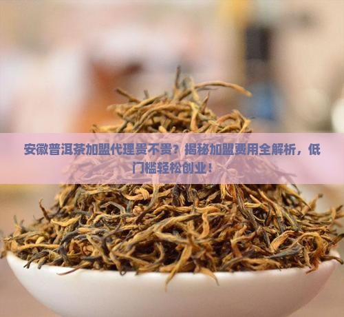 安徽普洱茶加盟代理贵不贵