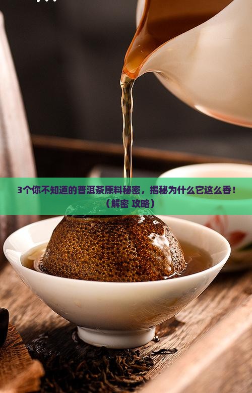 优质普洱茶的原料是啥做的