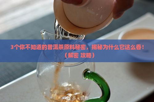 优质普洱茶的原料是啥做的