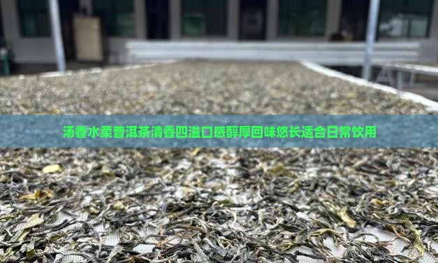 汤香水柔普洱茶