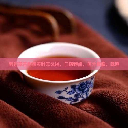 老班章古树茶黄叶