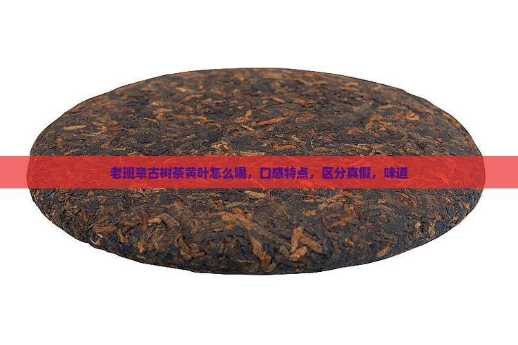 老班章古树茶黄叶