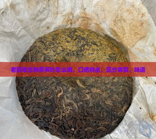 老班章古树茶黄叶