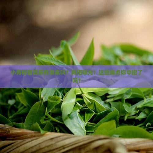 小青柑普洱茶有激素吗