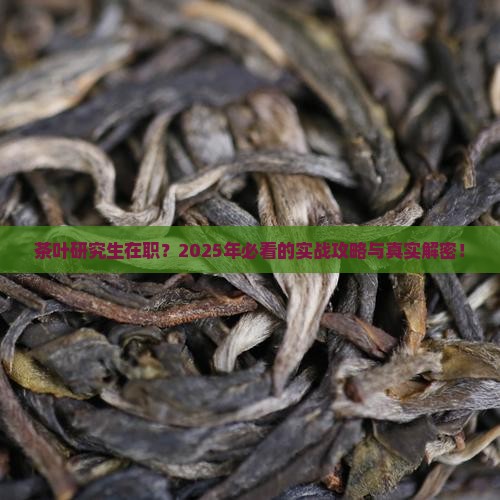 茶叶研究生在职