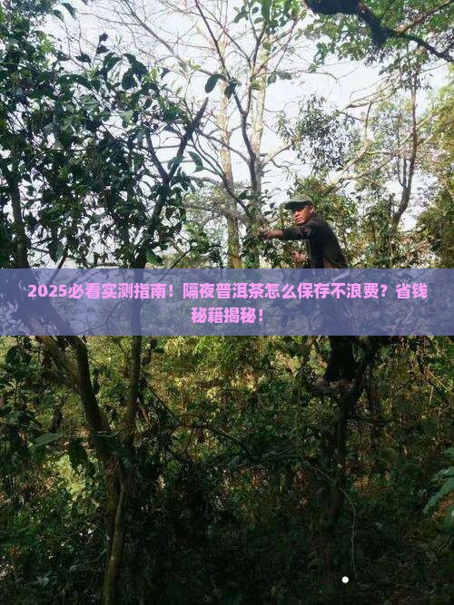 隔夜普洱茶怎么保存好一些