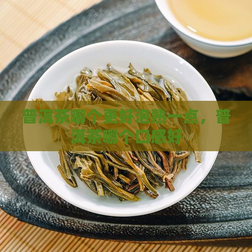 普洱茶哪个更好泡熟