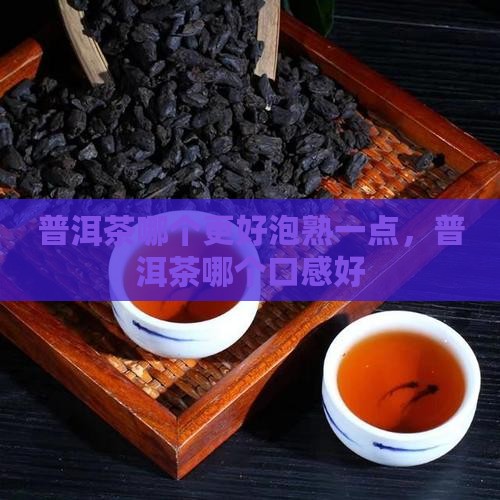 普洱茶哪个更好泡熟