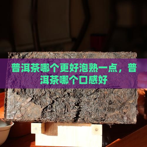 普洱茶哪个更好泡熟