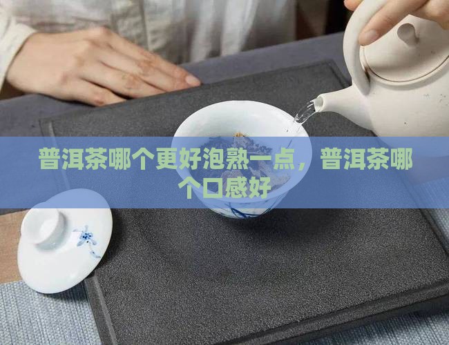 普洱茶哪个更好泡熟