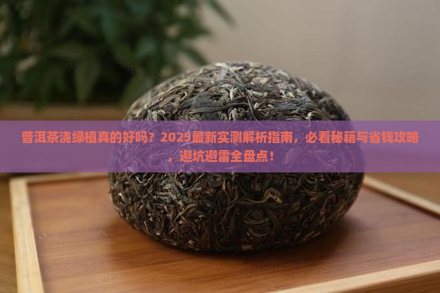 普洱茶可以浇绿植吗