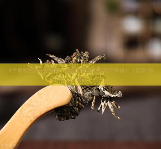 金骏眉普洱茶哪个养胃