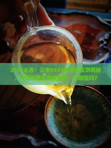 云南8653普洱茶