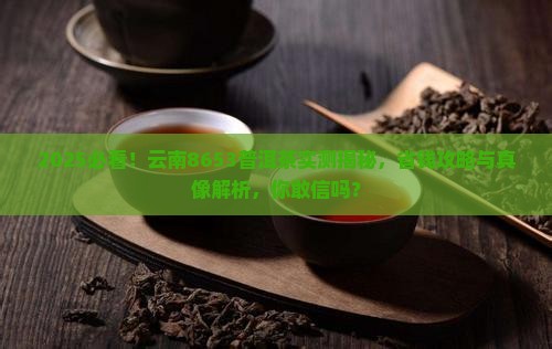 云南8653普洱茶